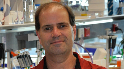 Using our immune system to overcome cancer image