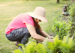 Find the balance: Vitamin D and sun exposure image