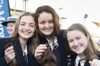 Ponytail Project image