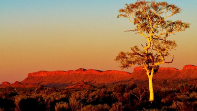Cancer Screening Services - Central Australia image