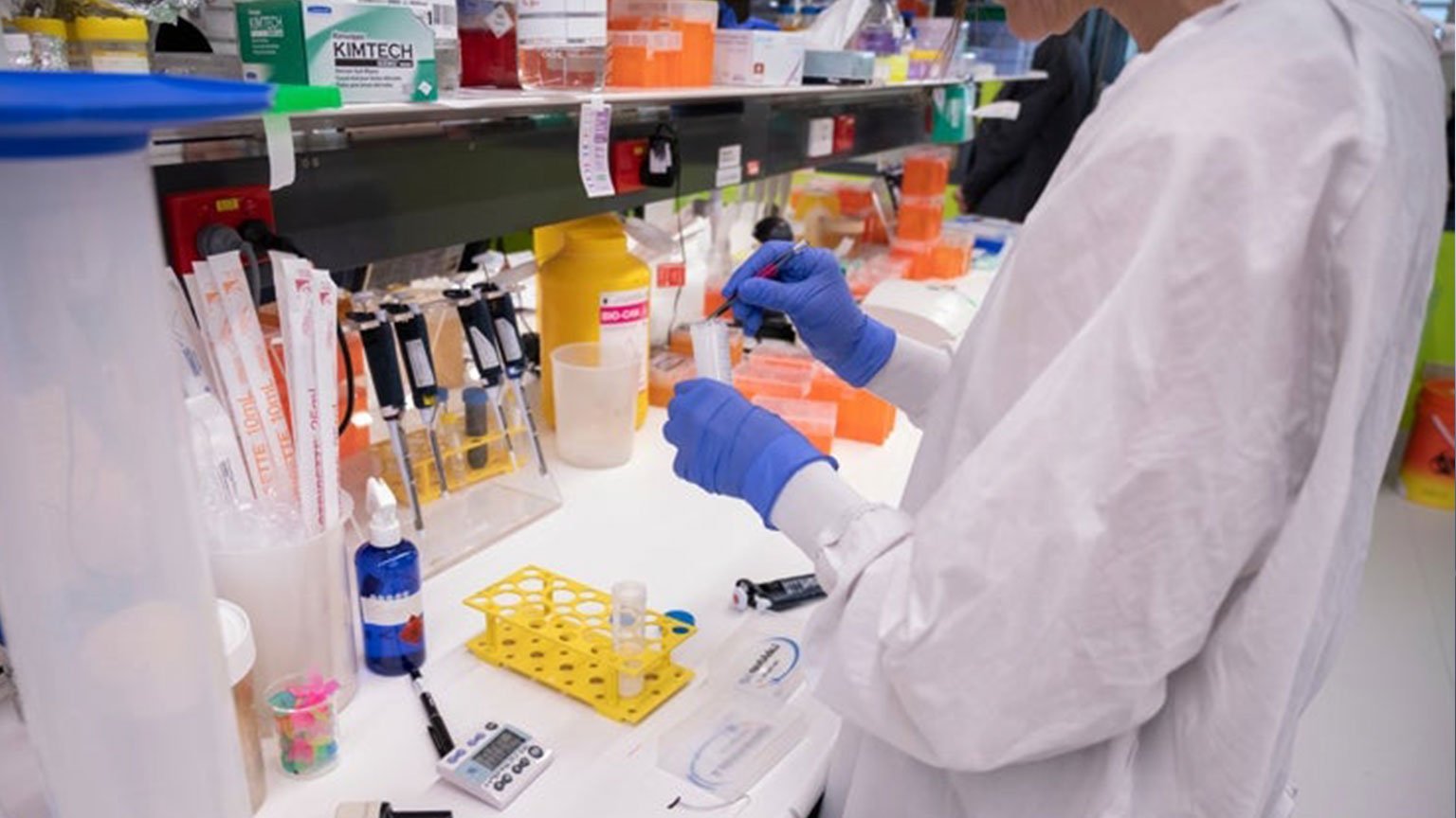 Targeted therapy for Melanoma