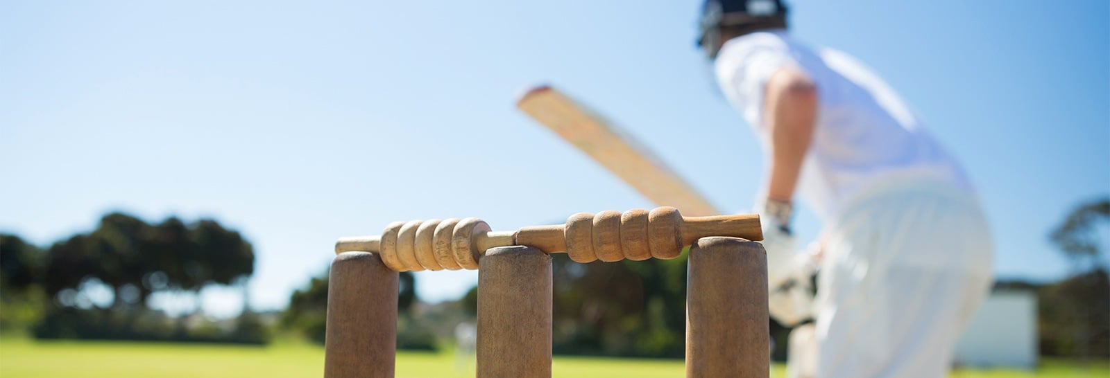 Be SunSmart at the cricket image